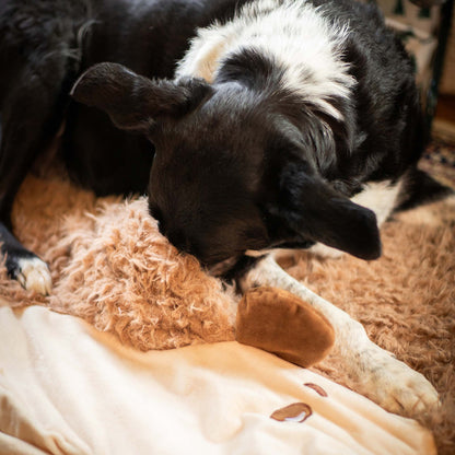 Rosewood 3 in 1 Snuffle and Burrow Hedgehog Blanket
