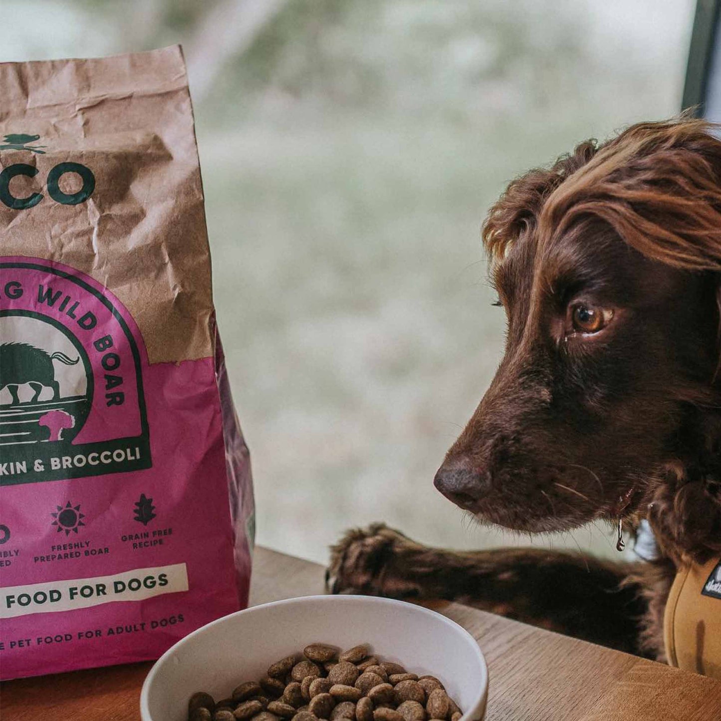 Beco Wild Boar Adult Dry Dog Food