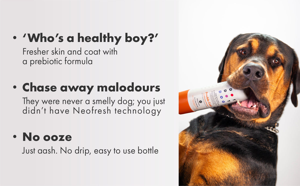 DotDotPet Puppy Dog Shampoo