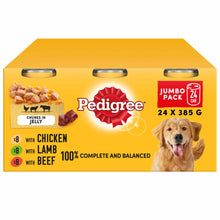 PEDIGREE Adult Wet Dog Food in Jelly - JUMBO PACK - Mixed Selection - 24x385g Cans