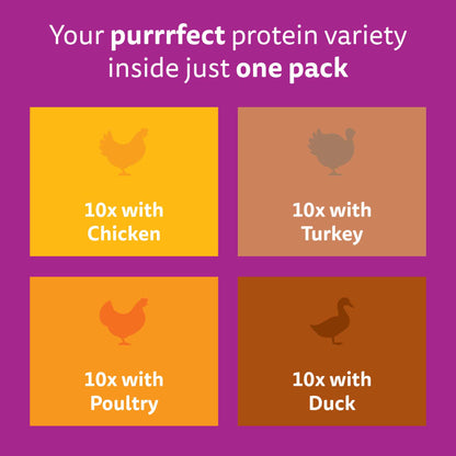 WHISKAS 7+ Senior Wet Cat Food in Jelly - Poultry Feasts - 40x85g Pouches