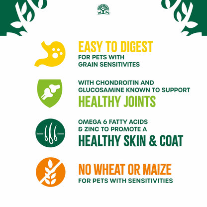 James Wellbeloved Grain Free Senior Dry Dog Food - Lamb & Veg