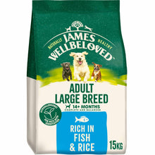 James Wellbeloved Large Breed Adult Dog Food - Fish & Rice