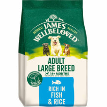 James Wellbeloved Large Breed Adult Dog Food - Fish & Rice