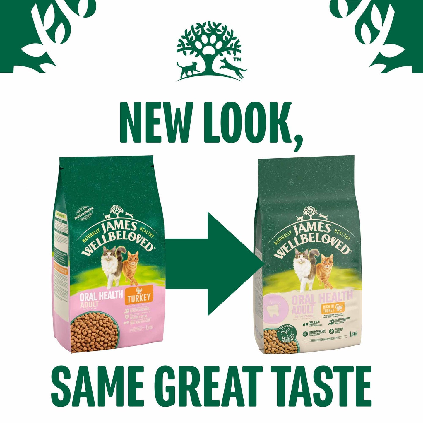 James Wellbeloved Oral Health Adult Dry Cat Food - Turkey