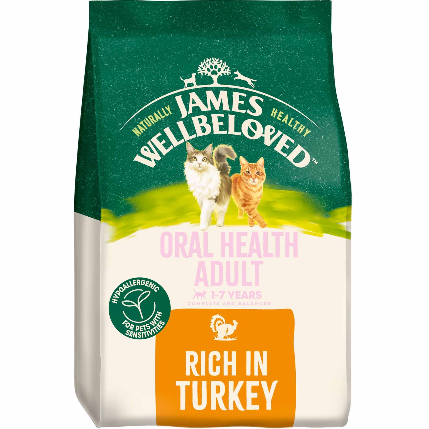 James Wellbeloved Oral Health Adult Dry Cat Food - Turkey