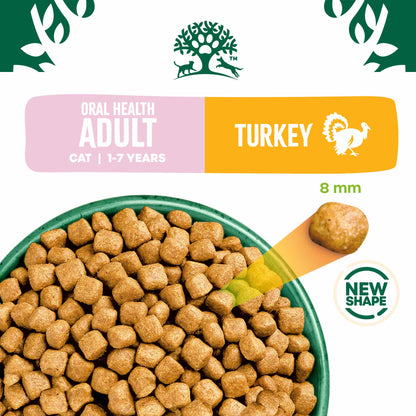 James Wellbeloved Oral Health Adult Dry Cat Food - Turkey