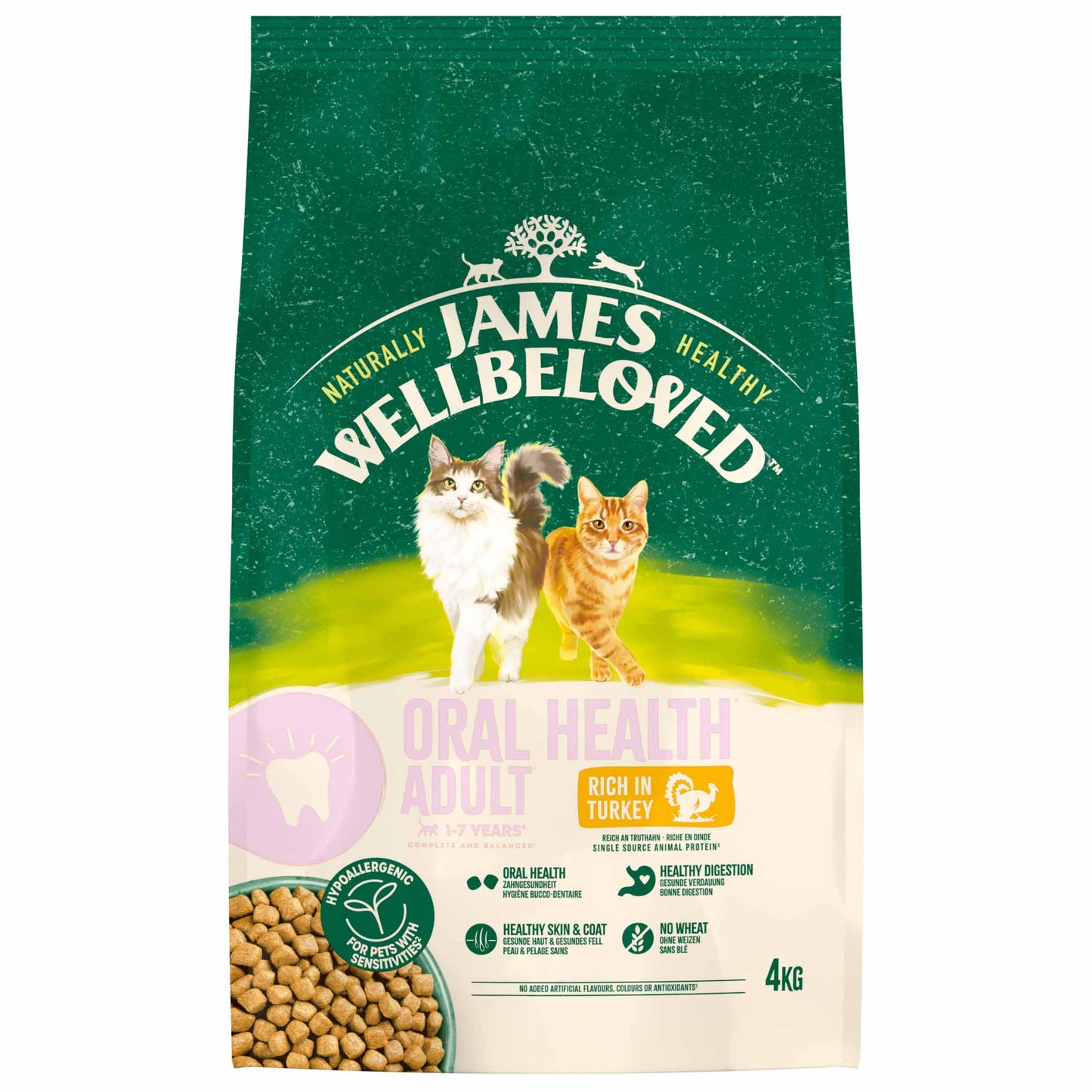 James Wellbeloved Oral Health Adult Dry Cat Food - Turkey