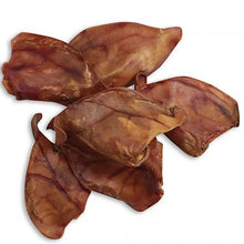 Paddock Farm Large Pig Ear Natural Dog Chews - Box of 50