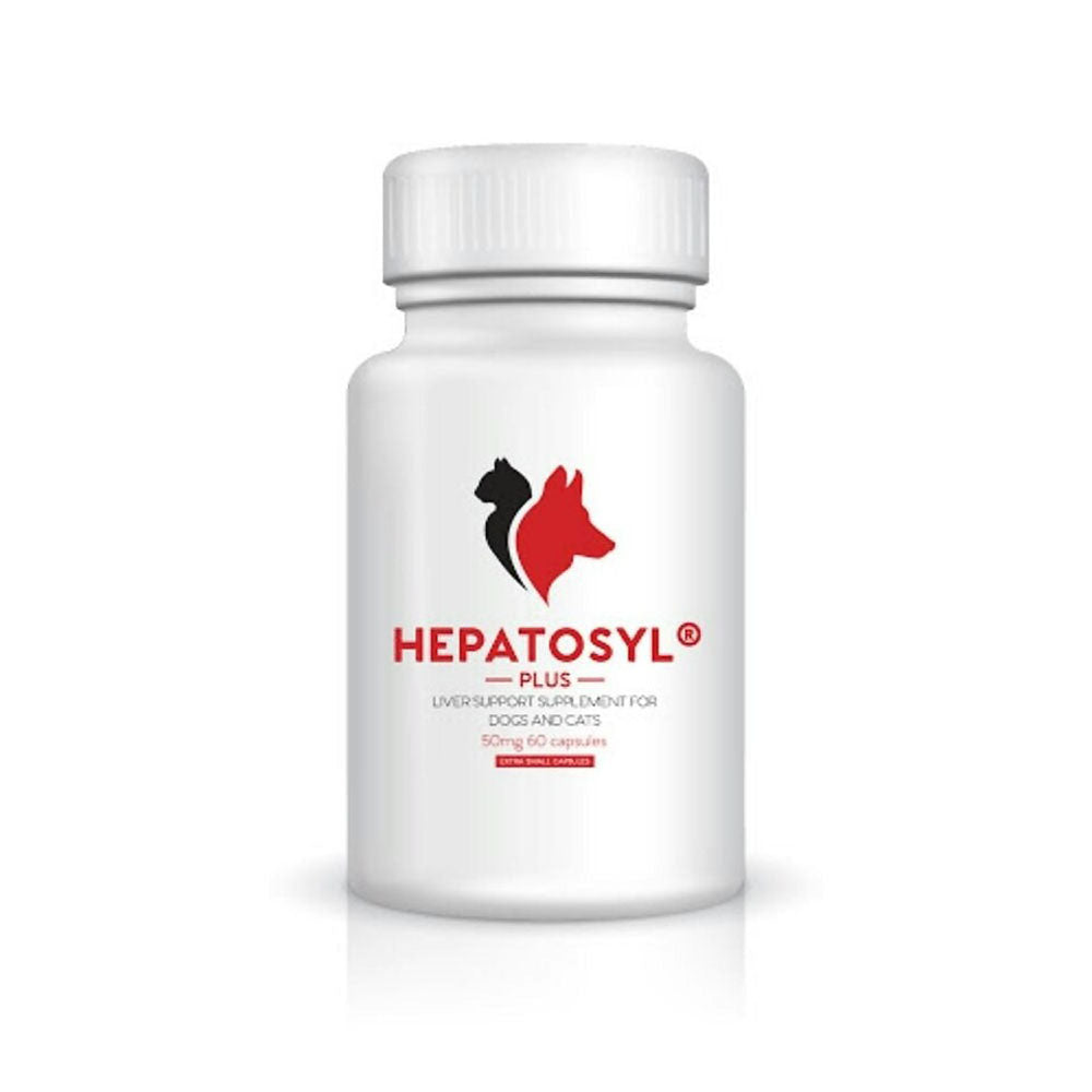 Hepatosyl Plus - 200mg - 60 Capsules