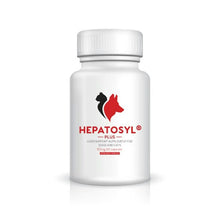 Hepatosyl Plus - 200mg - 60 Capsules