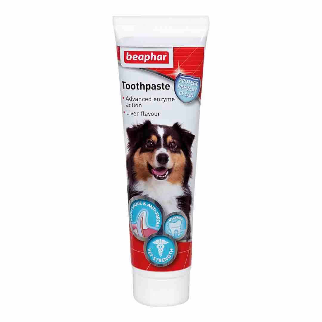 Beaphar Toothpaste for Dogs & Cats - 100g