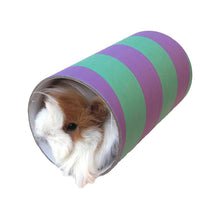 Rosewood Guinea Pig Tube Large