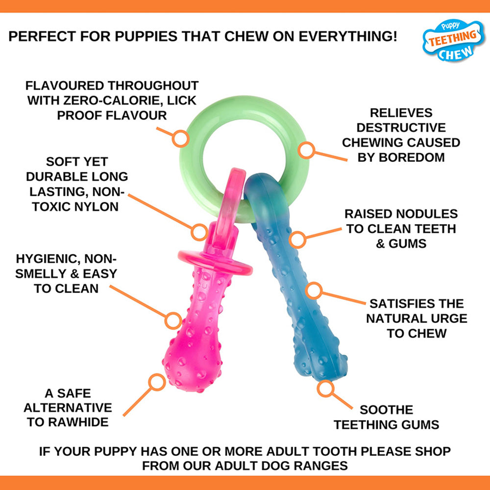 Nylabone Bacon Puppy Pacifier Chew - X-Small
