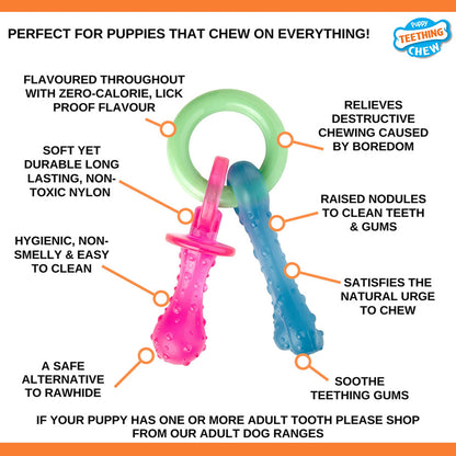 Nylabone Bacon Puppy Pacifier Chew - X-Small