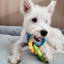 Nylabone Bacon Puppy Rings Chew - Small