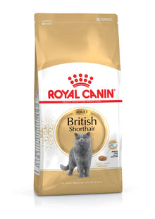 Royal Canin Breed Health Nutrition British Shorthair Dry Adult Cat Food