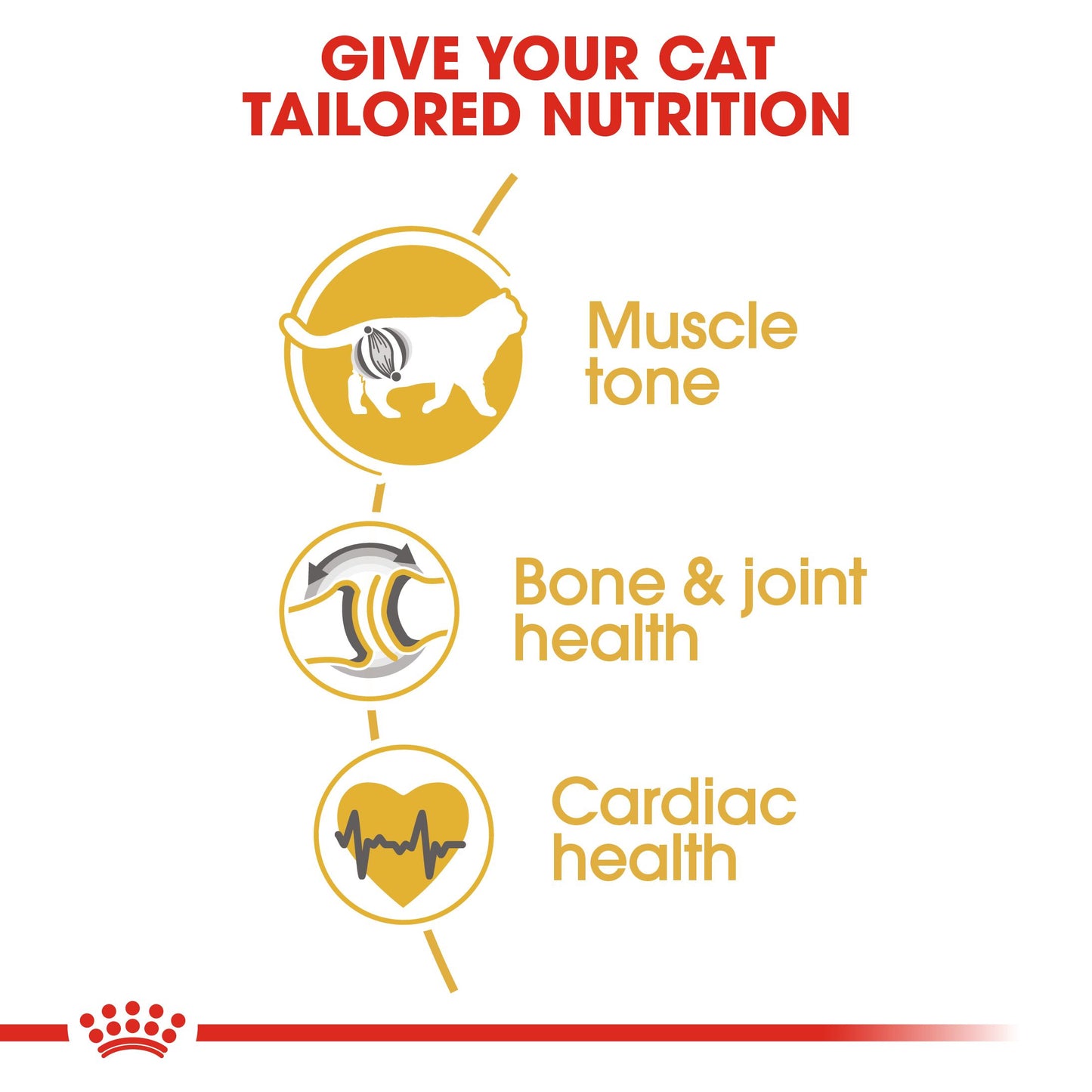 Royal Canin Breed Health Nutrition British Shorthair Dry Adult Cat Food