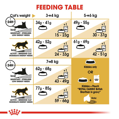Royal Canin Breed Health Nutrition British Shorthair Dry Adult Cat Food