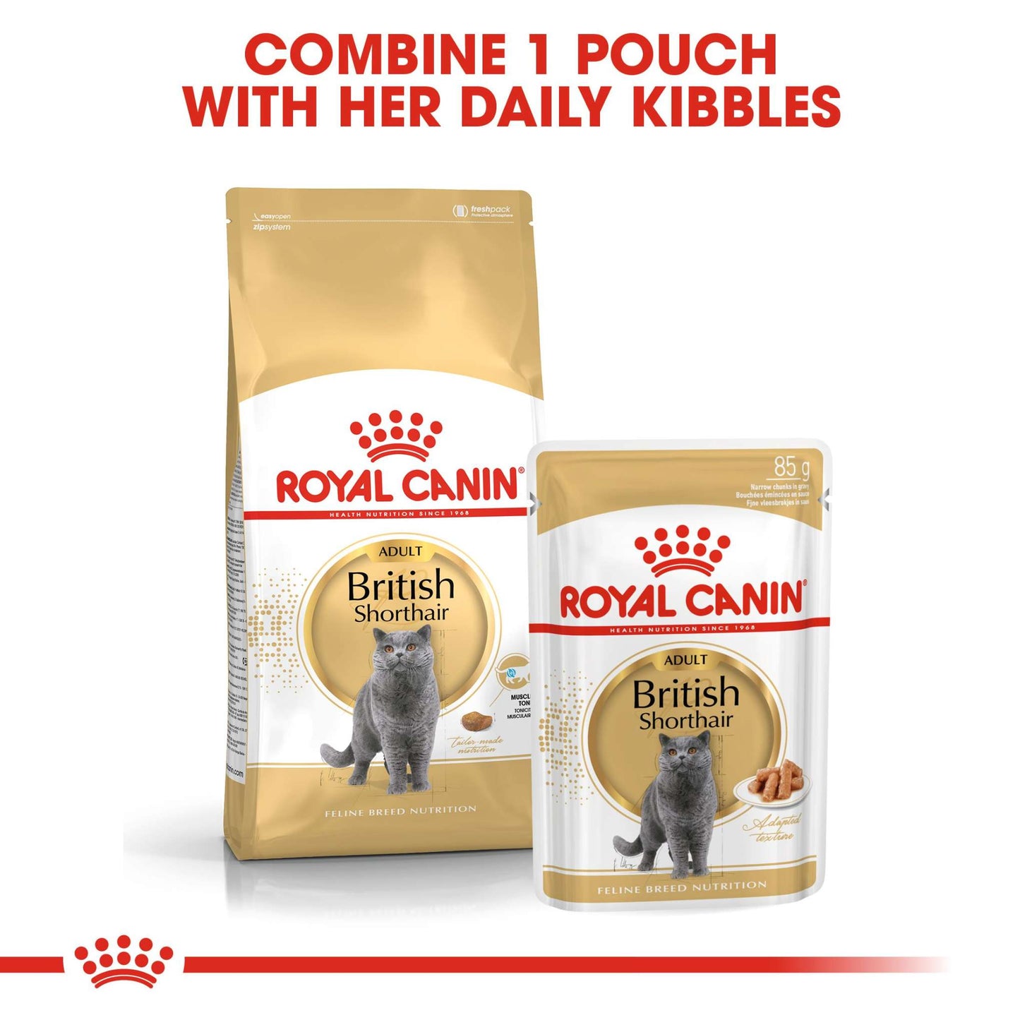 Royal Canin Breed Health Nutrition British Shorthair Dry Adult Cat Food