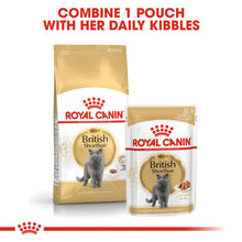 Royal Canin Breed Health Nutrition British Shorthair Dry Adult Cat Food