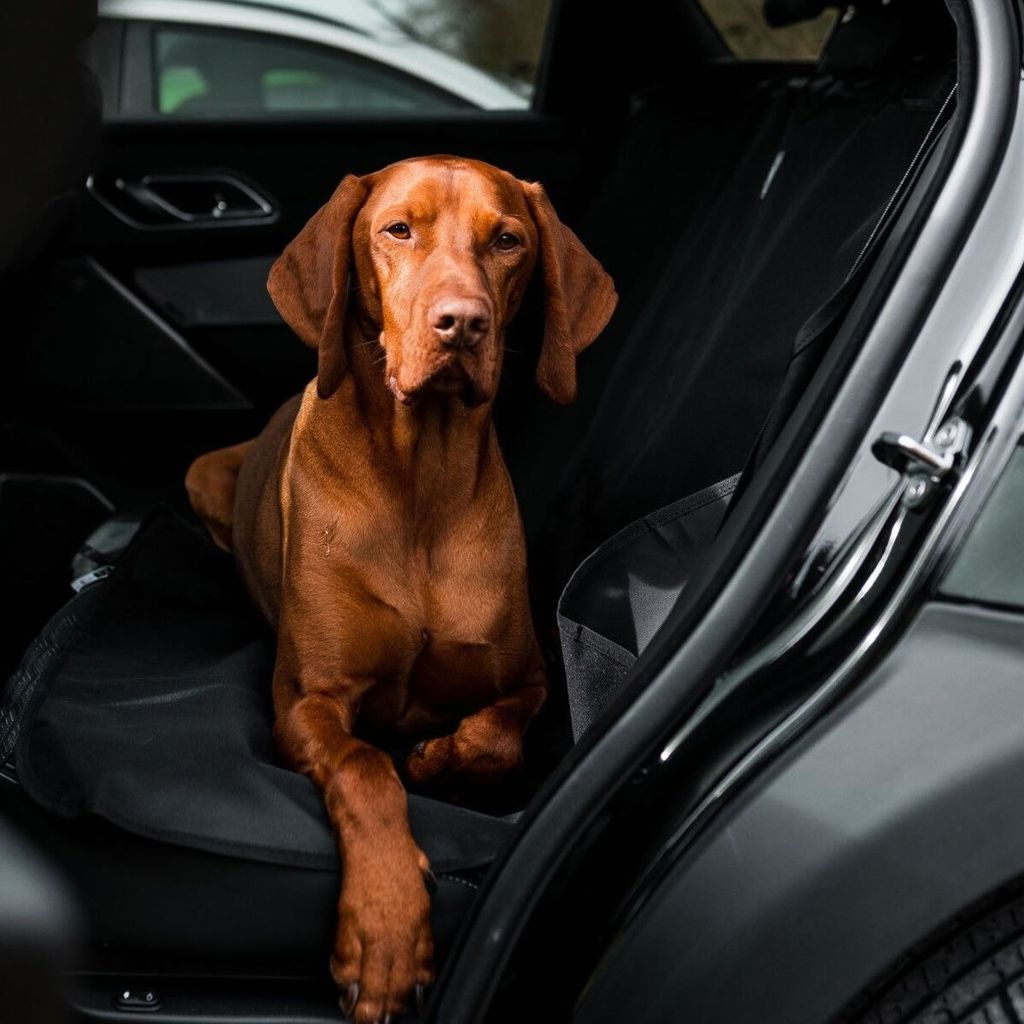 Danish Design Universal Waterproof Car Seat Cover - Dark Charcoal Grey