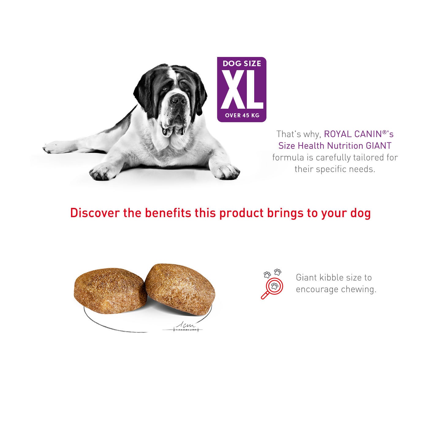 Royal Canin Size Health Nutrition Giant Adult Dry Dog Food