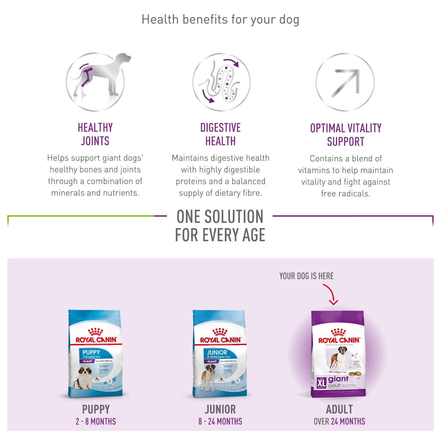 Royal Canin Size Health Nutrition Giant Adult Dry Dog Food