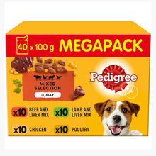 PEDIGREE Adult Wet Dog Food in Jelly - MEGA PACK - Mixed Selection - 40x100g Pouches