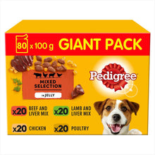 PEDIGREE Adult Wet Dog Food in Jelly - MEGA PACK - Mixed Selection - 80x100g Pouches