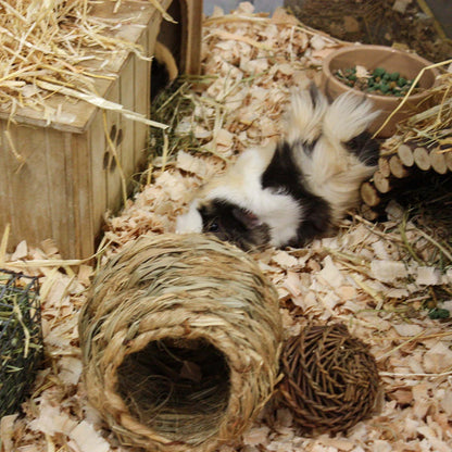 Happy Pet Jumbo Grass House