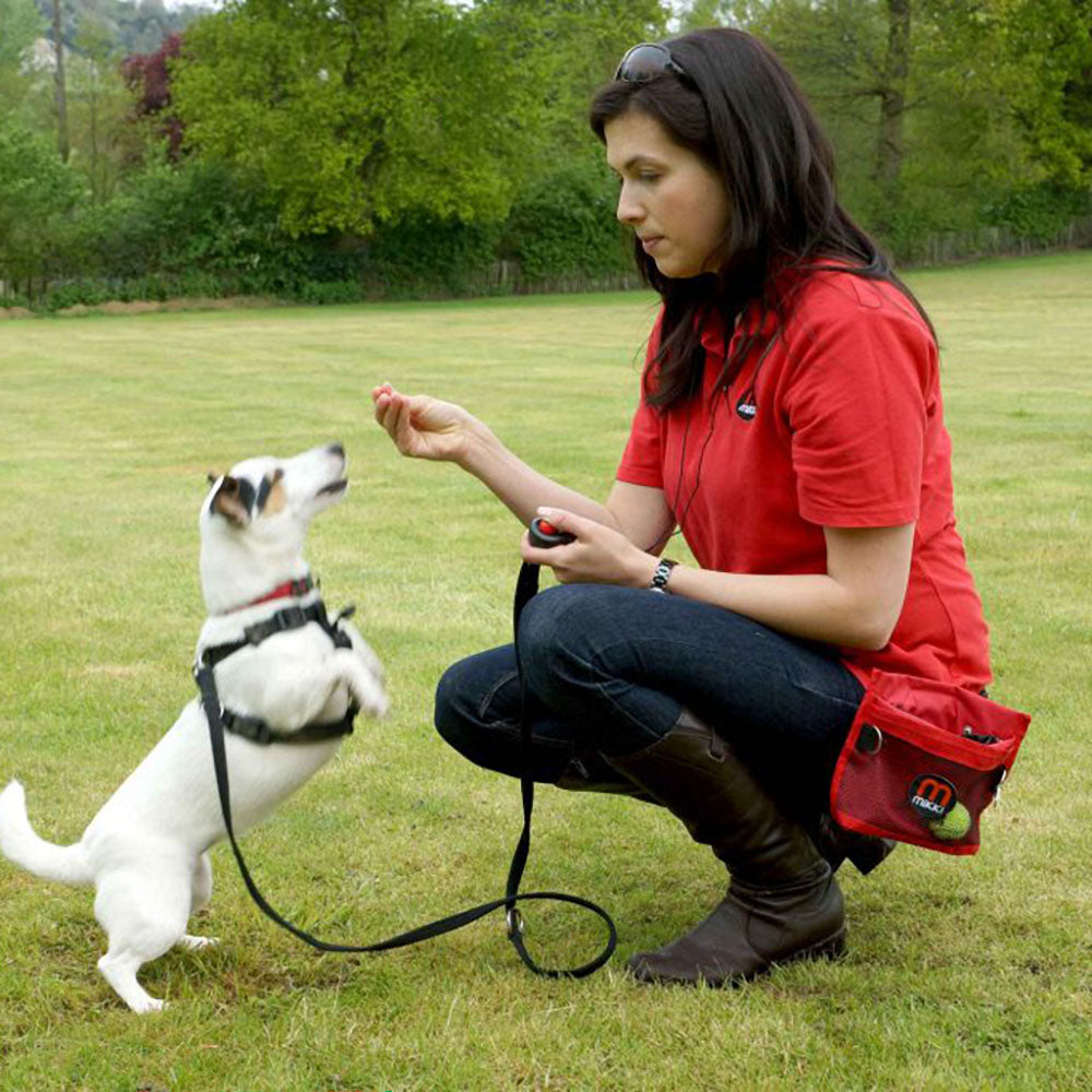 Mikki Deluxe Treat Bag