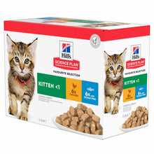 Hills Science Plan Kitten Wet Cat Food in Gravy - Chicken & Ocean Fish – 12x85g Pouches