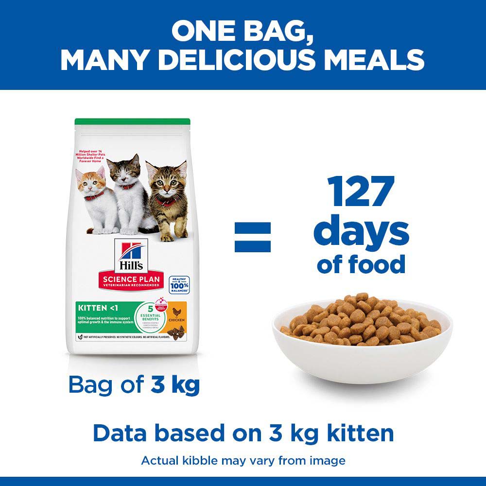 Hills Science Plan Kitten Dry Cat Food - Chicken