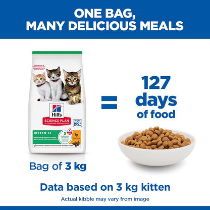 Hills Science Plan Kitten Dry Cat Food - Chicken