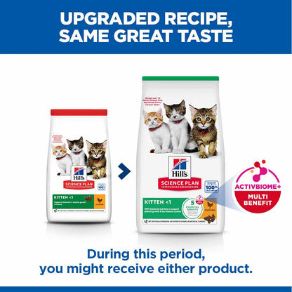 Hills Science Plan Kitten Dry Cat Food - Chicken