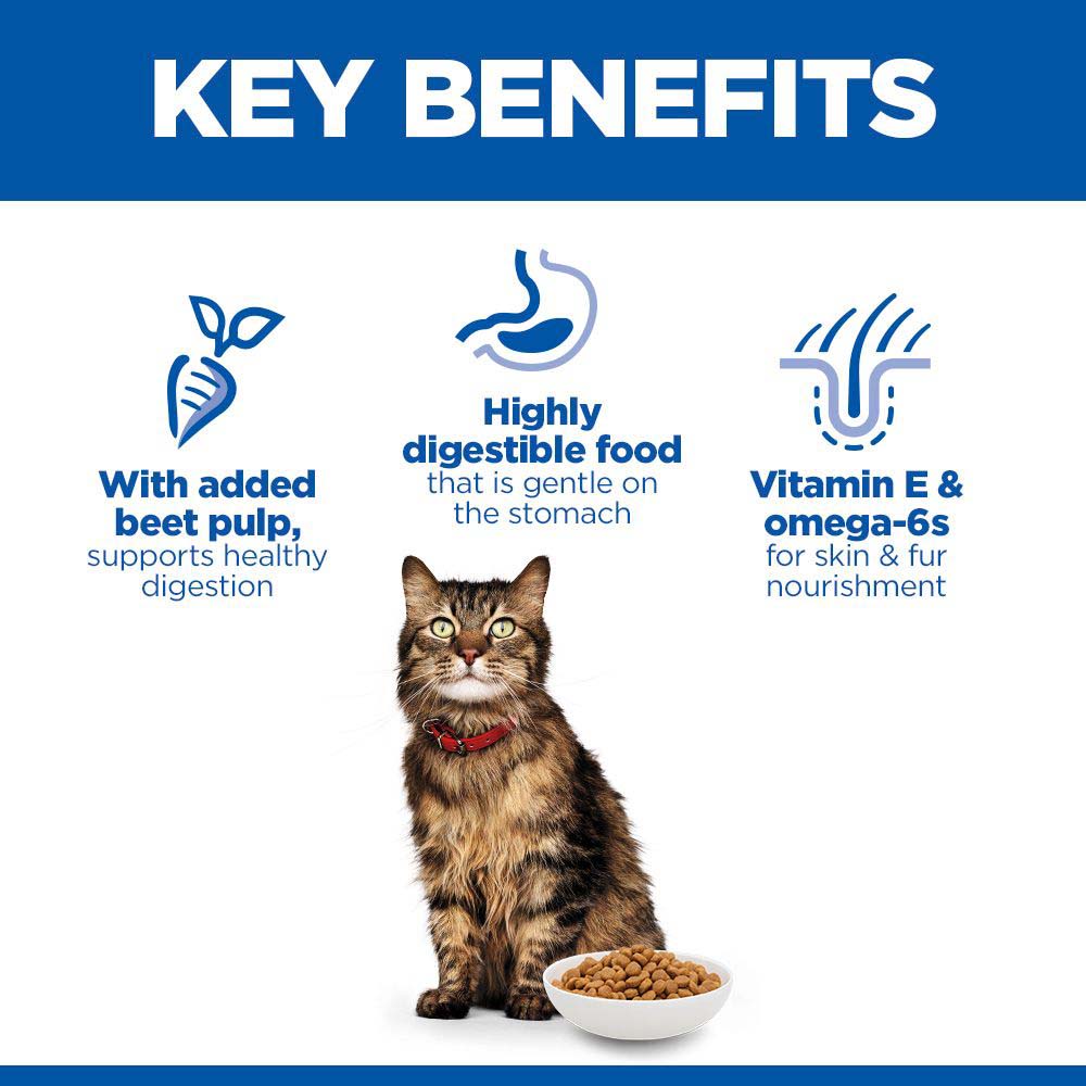 Hills Science Plan Adult Sensitive Stomach & Skin Dry Cat Food - Chicken