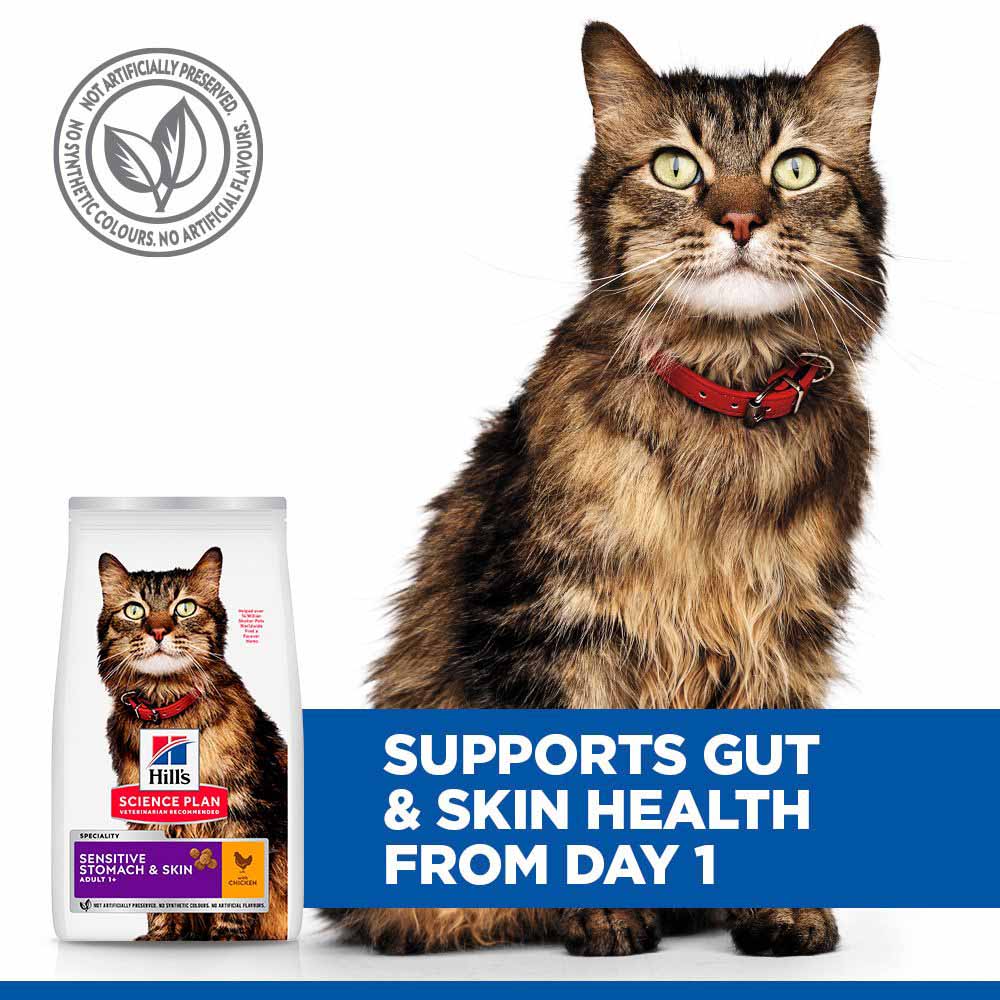 Hills Science Plan Adult Sensitive Stomach & Skin Dry Cat Food - Chicken