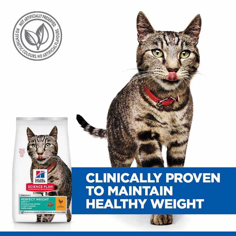 Hills Science Plan Perfect Weight Adult Dry Cat Food - Chicken
