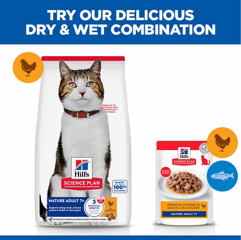 Hills Science Plan Mature Dry Cat Food - Chicken