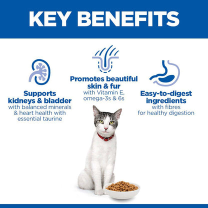 Hills Science Plan Senior Dry Cat Food - Chicken