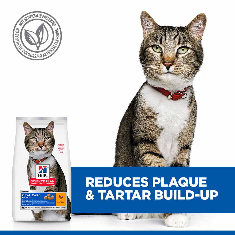 Hills Science Plan Adult Oral Care Dry Cat Food - Chicken