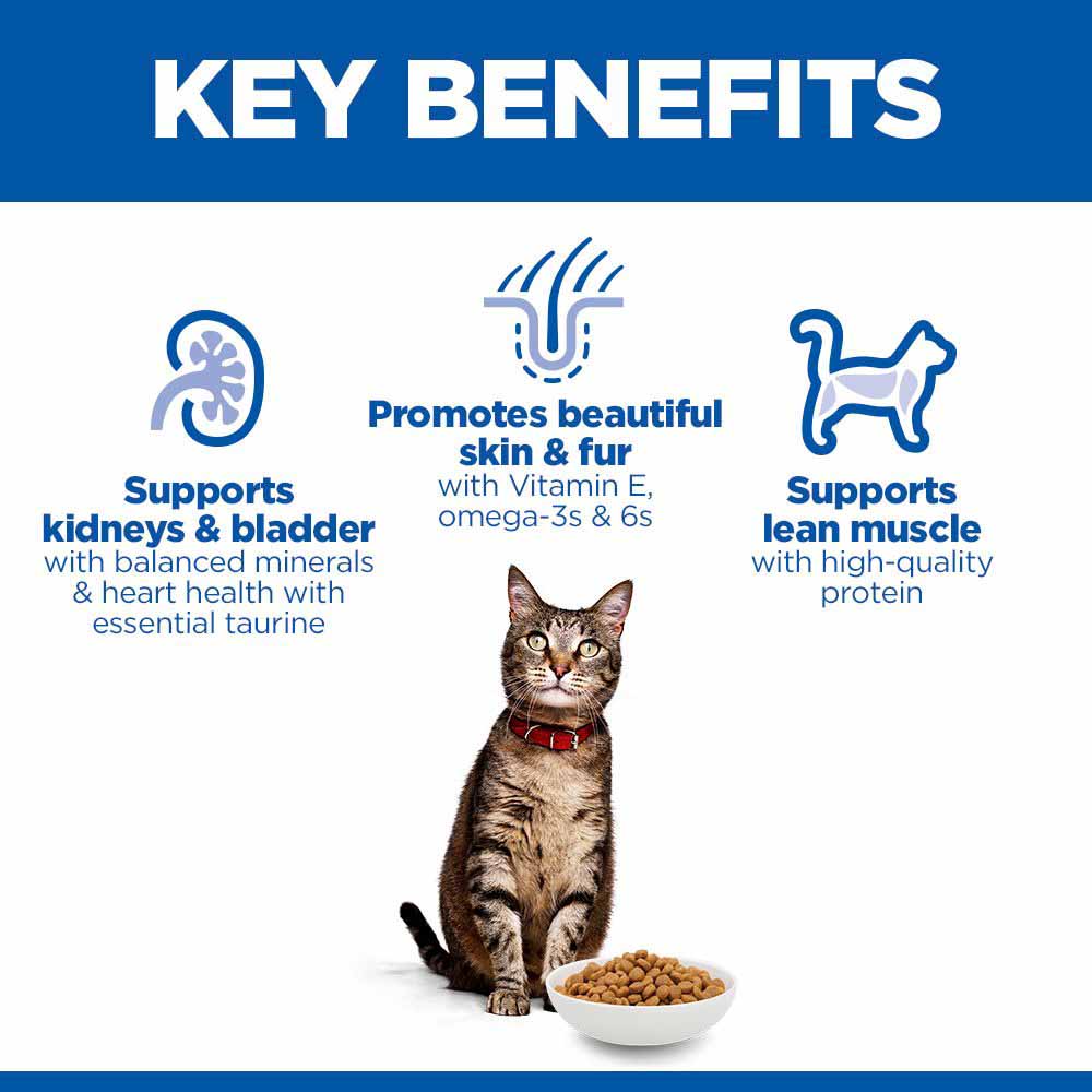 Hills Science Plan Adult Dry Cat Food - Chicken