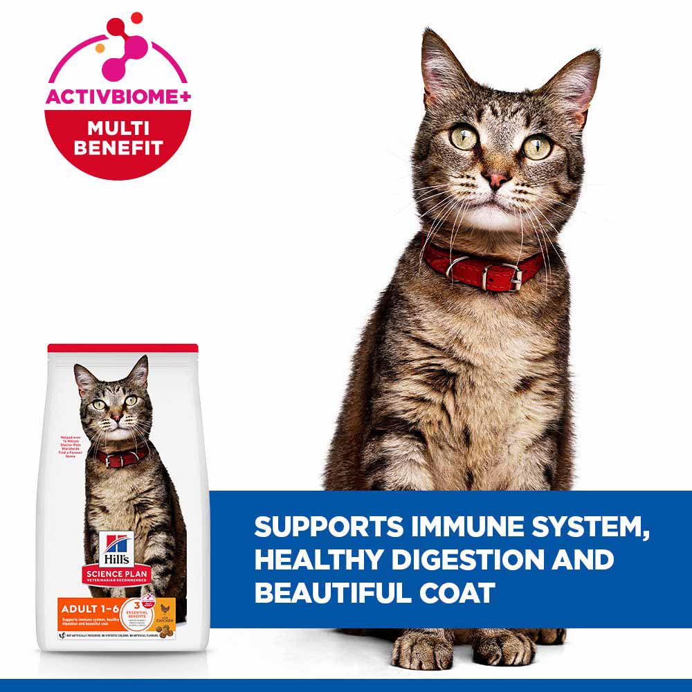 Hills Science Plan Adult Dry Cat Food - Chicken