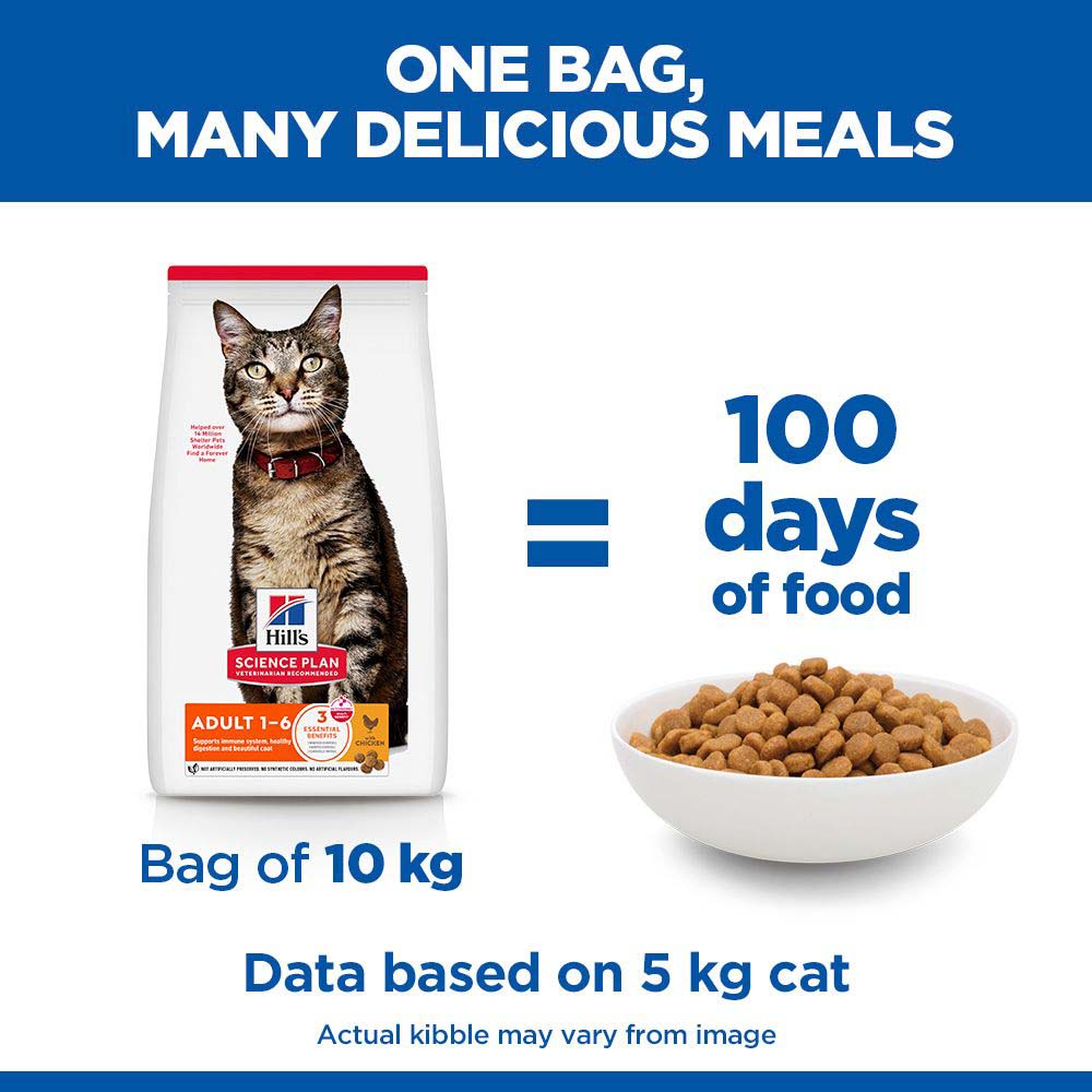 Hills Science Plan Adult Dry Cat Food - Chicken