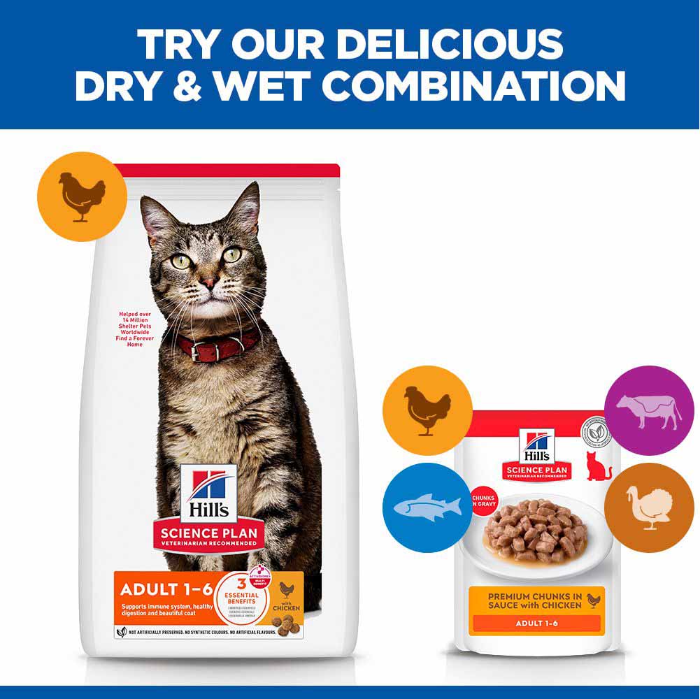 Hills Science Plan Adult Dry Cat Food - Chicken