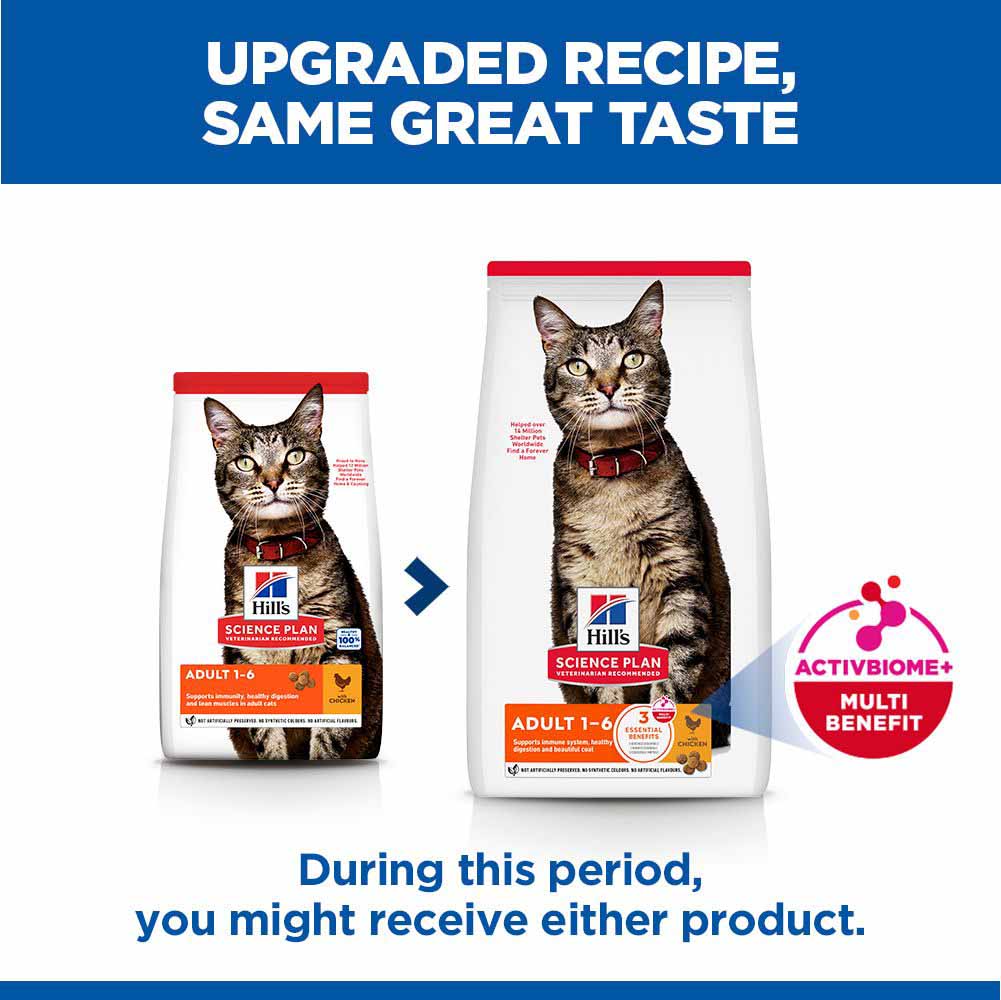 Hills Science Plan Adult Dry Cat Food - Chicken