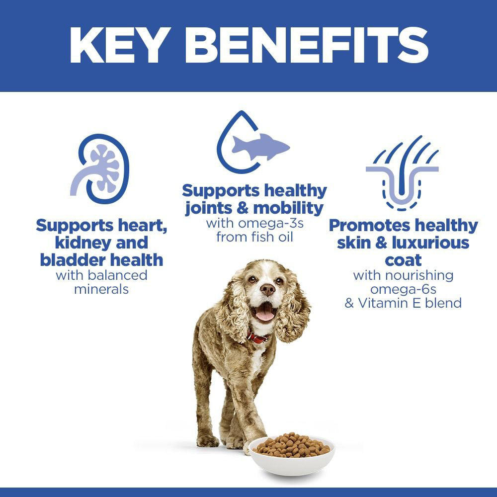 Hills Science Plan Senior 11+ Small & Miniature Dry Dog Food - Chicken & Turkey