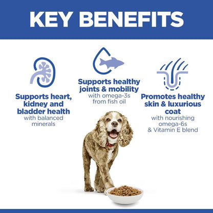 Hills Science Plan Senior 11+ Small & Miniature Dry Dog Food - Chicken & Turkey