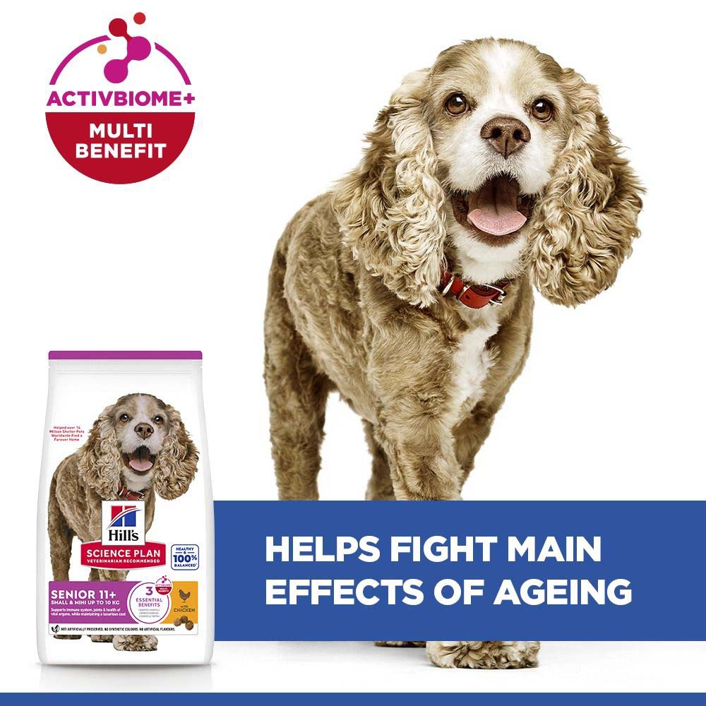 Hills Science Plan Senior 11+ Small & Miniature Dry Dog Food - Chicken & Turkey